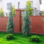 Между забором и деревом должно быть несколько метров
